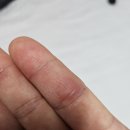 대세포차 이미지