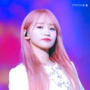 구제해주세요 Daum카페