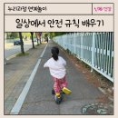 킥보드 타고 반찬 사러 가기 일상에서 안전 규칙 배우기