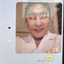 일상 (14)