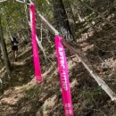 UBC울산방송 | 🏃‍♂️ [참가자 후기2] UTNP 2025 5Peak – “이건 아니다 싶어서 글을 씁니다”