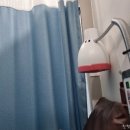 365담이약국 | 체외충격파 실비 보험금 받았어요 (청구서류 가격)
