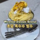 더초당 | 웨스틴조선서울 호텔 라운지앤바 초당옥수수 빙수 후기(가격,웨이팅)