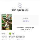 딥티크갤러리아명품관