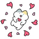 콩키(konki)
