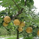 은식농장 이미지