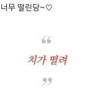 멍멍아 야옹해봐 이미지