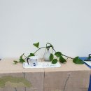 소백예술제 이미지