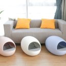 디자인해밀 이미지