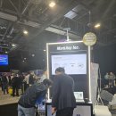 애니얼라인 이미지