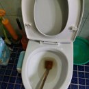 개인주택 이미지