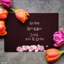 작은 소망 이미지