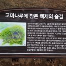 곰사당 이미지
