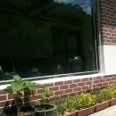 중앙민박 이미지