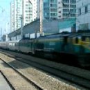 [10/29 출사] 구로역 무궁화호 통과! 이미지