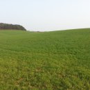 두산목장 이미지