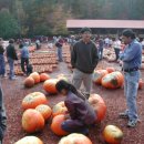 범진농장 이미지