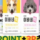 강아지 지니 이미지