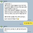 수약국 | [남대문 약국] 왕솔약국 방문 후기 및 임산부 영양제 추천 리스트