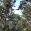 새벽목장 | 제주 2일차｜714일차 새벽 6시 기상 아기와 함께한 유람선·양떼목장 하루