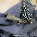 남관로 | 아놔, 주방 대참사! 싱크대막힘 긴급 출동 후기