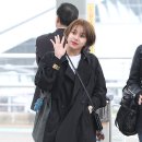 채영 카카오 검색결과