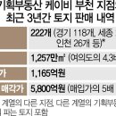 팝기획 이미지