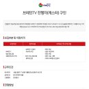 브레인TV 진행자(캐스터) 구인 이미지