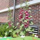 미래요양병원 이미지