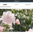 인포랩 | 여성용 다리라인 산후부종 관리 건강식품 레그랩라인포뮬러 후기