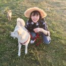 수일민박 네이버블로그