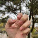 수성구 황금동 네일샵 몰리네일 추천 후기