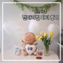 임신 16주 젠더리빌 파티 했어요 내돈내산 파티 용품 추천과 가족들 생생한 반응 후기