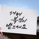 리틀하버드유치원 이미지