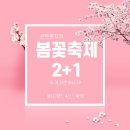 센트롯지 이미지