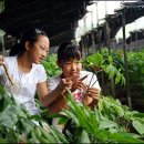 금강약초사우나 이미지