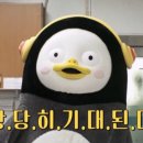 정선메밀촌막국수