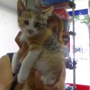 한얼동물병원 이미지