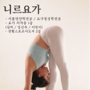 니르요가