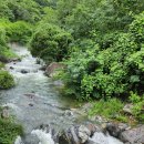 비온뒤 깊은 산속 / Deep in the mountains after the rain 이미지