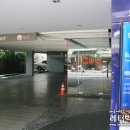 시트러스부티끄