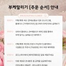 소피아 | 동탄 부케말리기 ‘로즈소피아‘ 프로포즈 꽃 말리기 내돈내산 후기