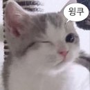 뷰티, 여은