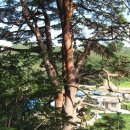 수로부인길 이미지