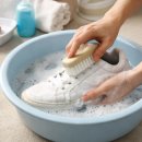 동화세탁 이미지