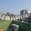 화니세탁소 이미지