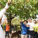 수원-1500 이미지