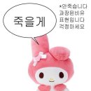 일구사삼 이미지