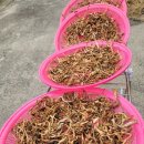 순이 삼오가든 이미지