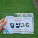 가평 썬 캠핑장 | 가평 자라섬 캠핑장 야외수영장│아이와 가평 수영장 물놀이 후기, 정보 총정리